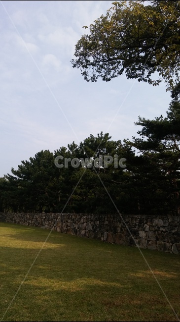 마당,담,나무,하늘,시골,자연,풍경,nature,landscape,tree,plant,식물,wall,벽