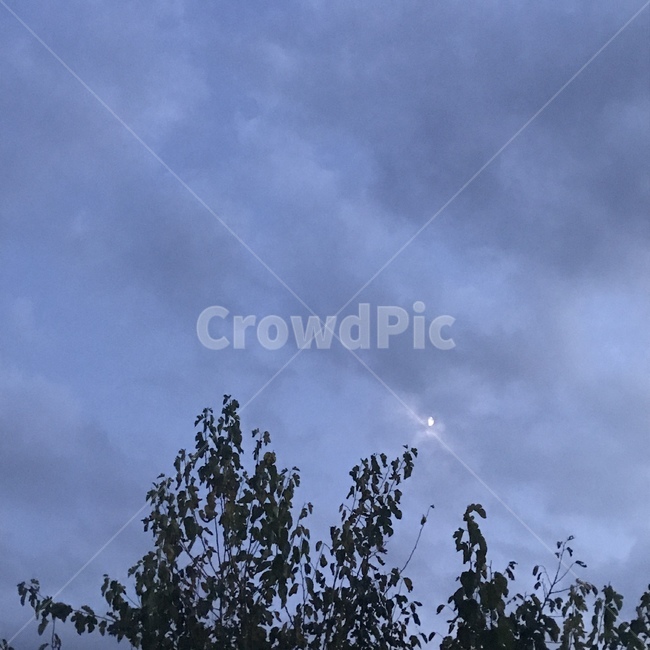 nature,자연,cloud,구름,sky