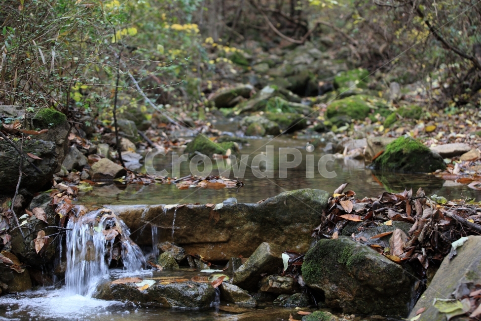 계곡,물,화암사,가을,stream,산책,가을,계절,fall,autumn,season,자연,풍경,nature,landscape,water,outdoors,옥외,흐름,creek,작은 만