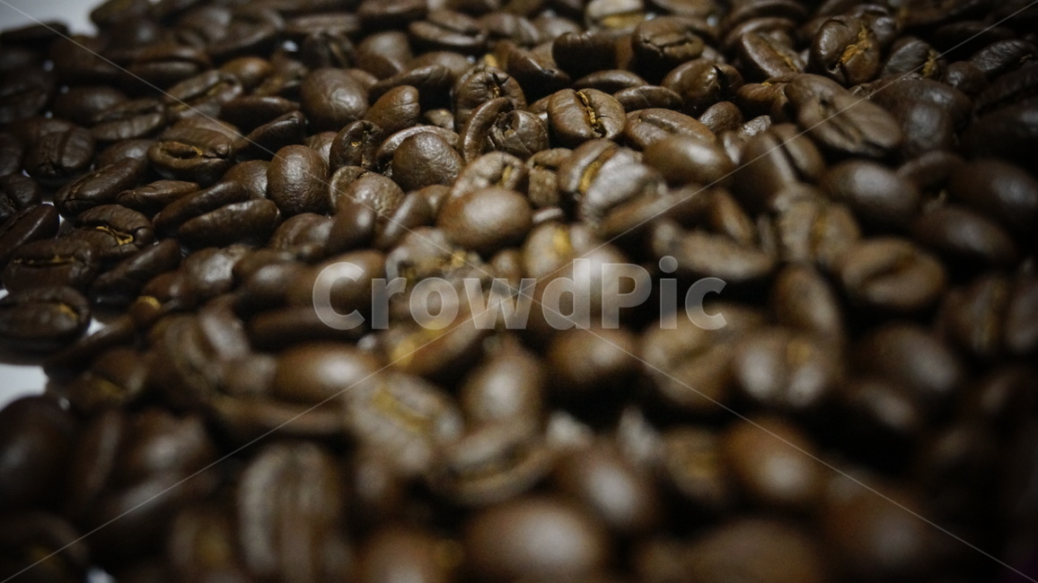 원두,원두커피,로스팅,커피,cafe,드립커피,스코트레버러토리,워시드방식,커피,카페,coffee,cafe