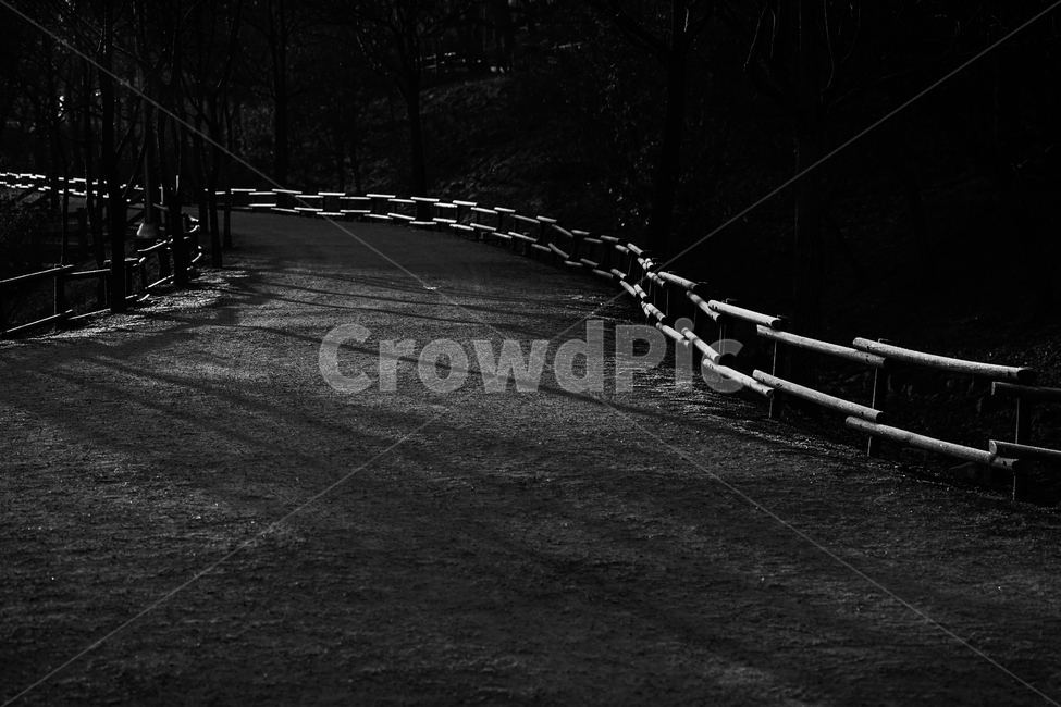 길,로드,공원길,오솔길,가이드,라인,빛,흙길,공원,자연,풍경,nature,landscape,흑백,모노톤,monochrome,black and white,handrail,난간,banister