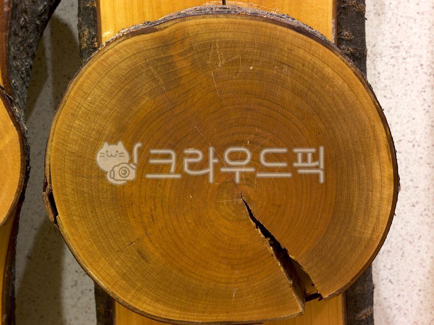 tree background,wild cherry tree,wood,section,design background,For furniture,cross section of wood