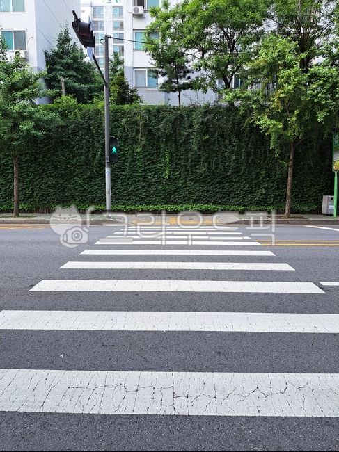 sidewalk,Crosswalk,white line,road,traffic lights