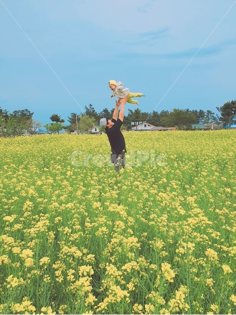 봄,꽃,봄꽃,꽃구경,유채꽃,여행,spring,flower,travel,아빠와아들