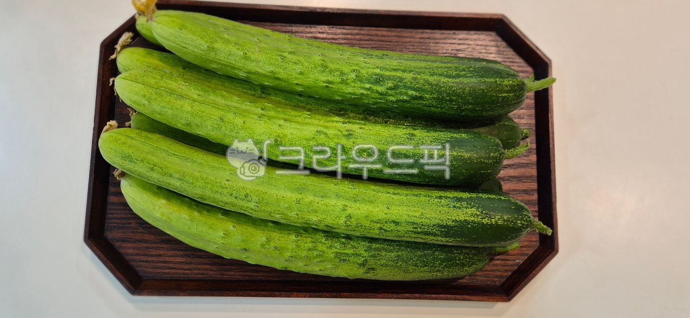 오이,채소,야채,오이요라,신선식품,반찬