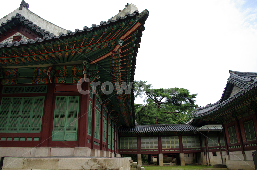 창덕궁,고궁,전각,한옥,전통가옥,기와지붕,건축,traditional,한국전통,한국문화,korean traditional,korean culture,랜드마크,landmark,tourist attraction,한국랜드마크,한국관광지,한국명소,korea landmark,korea tourist attraction,건축물,건물외관,exterior,building,structure,architecture,construction