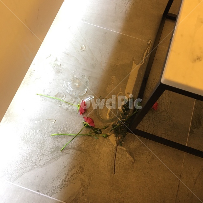 바닥조명,조명,테이블,유리병,유리잔,깨진유리잔,깨진유리병,장미꽃,바닥,물,water,rose,bottle