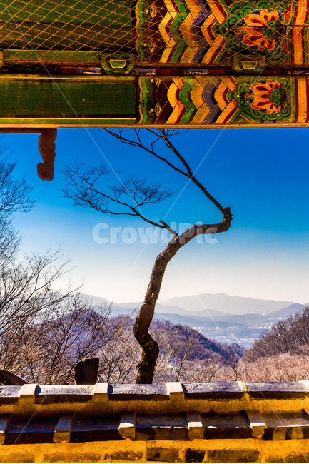 산성,문화유산,단청,고목,풍경,성곽,겨울,계절,winter,season,한국전통,한국문화,korean traditional,korean culture,식물,자연,plants,nature,나무,trees,wood,건축물,건물외관,exterior,building,structure,architecture,construction