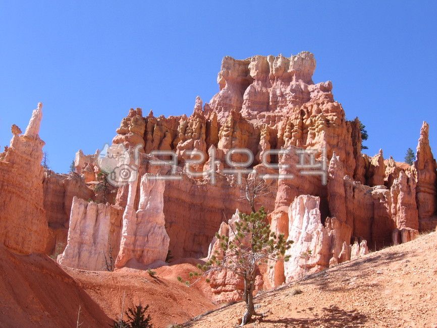 A national park,trail,Bryce Canyon,USA,outdoors,nature,brycecanyon