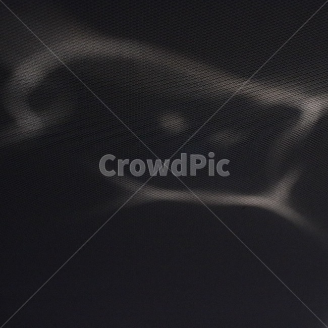 빛,그림자,light,hikari,shadow,kage
