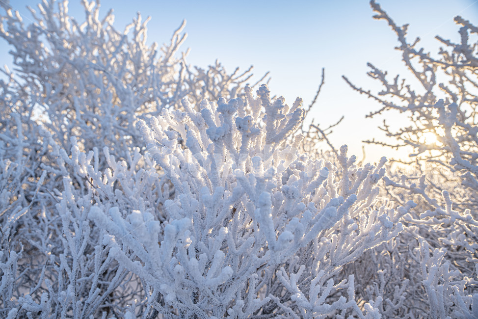 설산,태백산,겨울산,겨울,상고대,풍경,산,겨울풍경,눈꽃,nature,자연,snow,눈,겨울,계절,winter,season,자연,풍경,nature,landscape