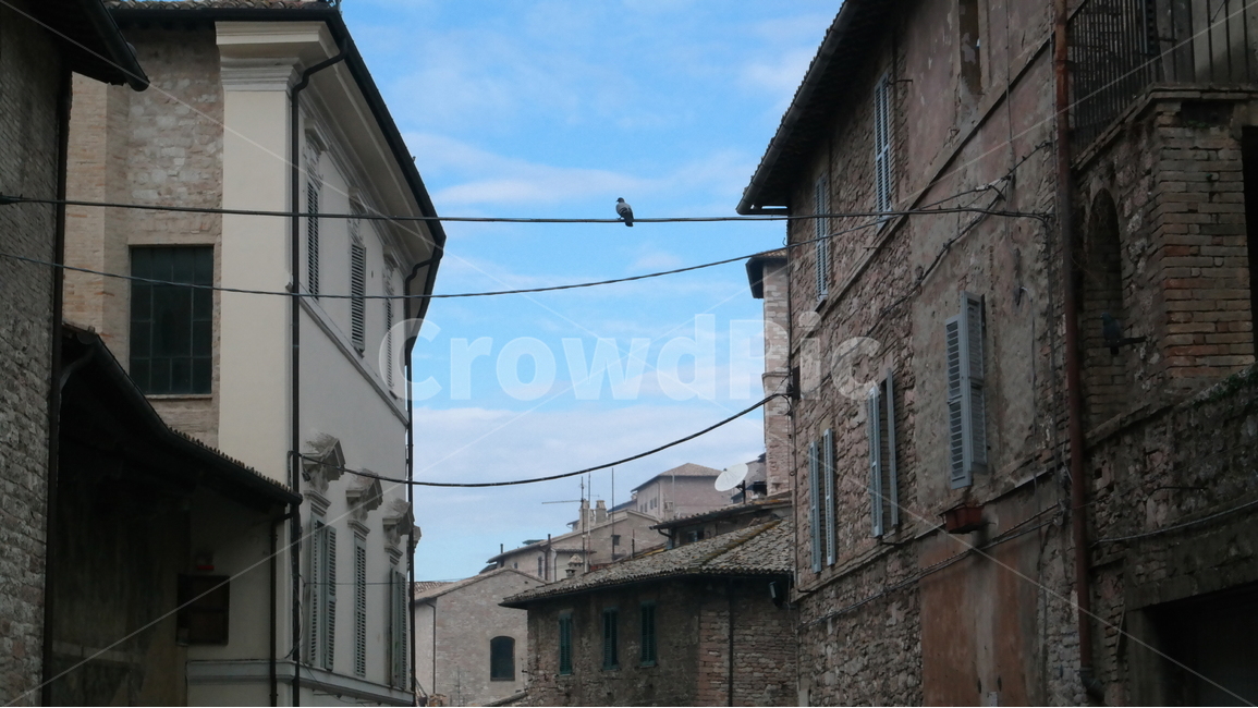 아시시,assiai,이타리아,italy,풍경,하늘,해외,유럽,랜드마크,해외랜드마크,골목,거리,마을,아씨시,europe,새,bird,전깃줄,town,landscape,sky,oversea,landmark,alley,byway,backstreet,street,골목길,alley,해외,외국,세계,foreign,oversea,world,동물,animal,조류,새,birds