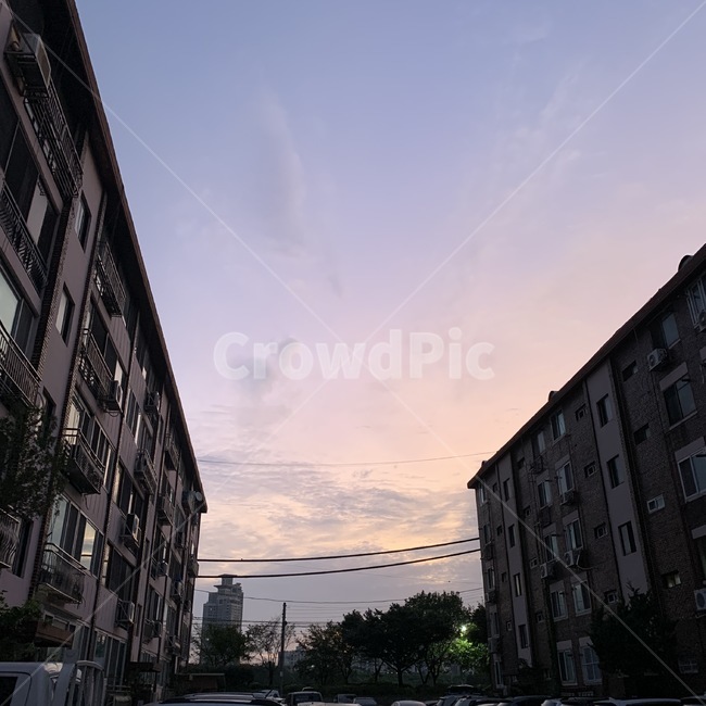 building,건물,저녁,새벽,감성,하늘,구름,sky,cloud,전깃줄,전신주