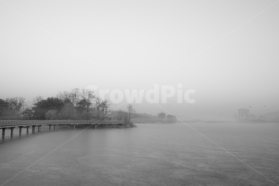 호수,저수지,안개,겨울,나무,다리,철교,감성,풍경,자연,풍경,nature,landscape,흑백,모노톤,monochrome,black and white,water,물,waterfront,워터 프론트