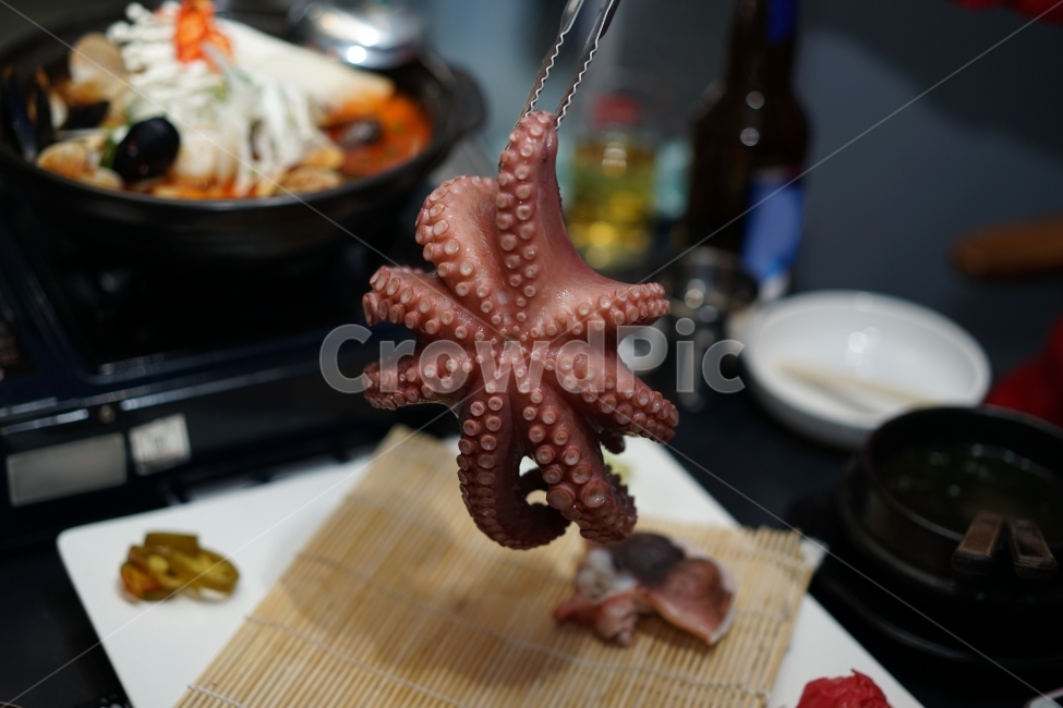 	안주,먹방,문어,해산물,문어숙회,술안주,회,먹거리,음식,푸드,씨푸드,시푸드,술자리,식감,소주안주,안주거리,안줏거리,빨판,통문어,음식,식재료,요리,food,cook,meal,dishes,food reserves,수산물,해산물,fishery products,seafood