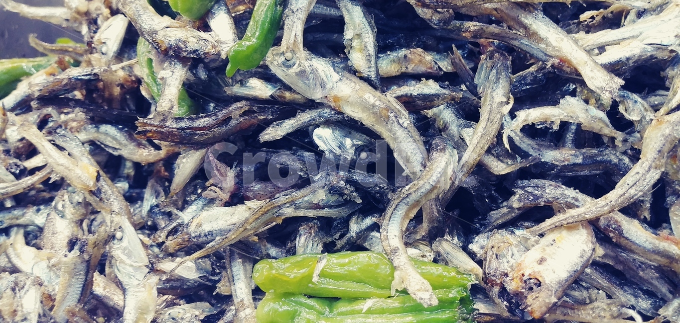 멸치볶음,멸치,꽈리고추,음식,반찬