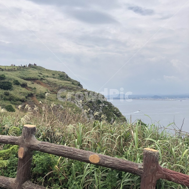 바다,구름,grass,island,field,sky,sea,cloud,nature,자연,outdoors,옥외