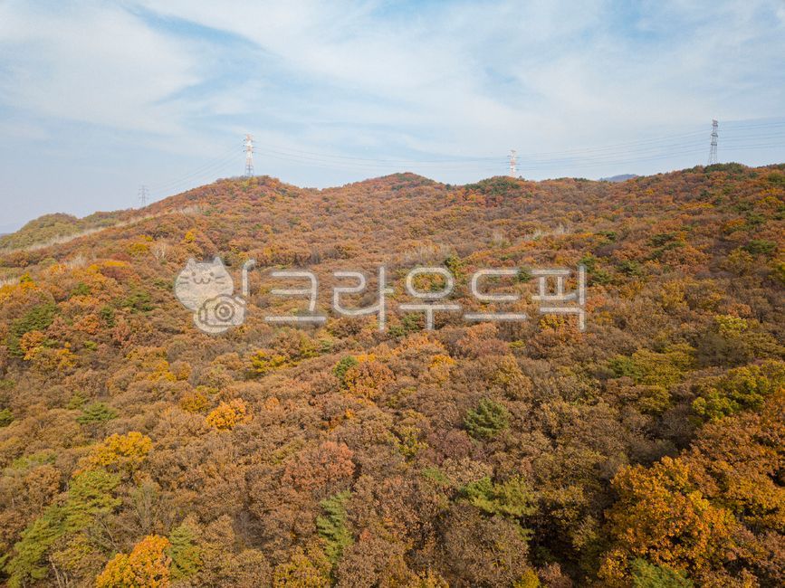 가을, 단풍, 나무, 물들다, nature, 사진,이미지,일러스트,캘리그라피 - Ndakidang12작가