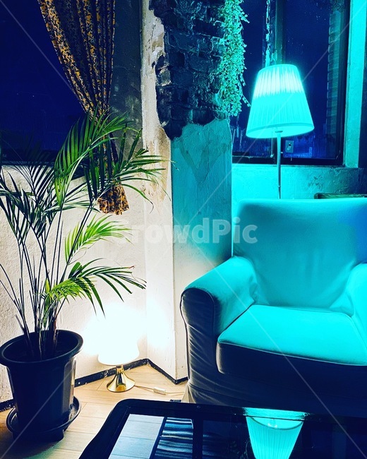 furniture,가구,쇼파,화분,전등