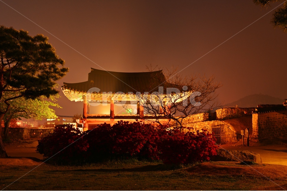 전북,고창,고창읍성,모양성,outdoors,scenery,풍경,nature,자연,architecture,건축물,building,건물,야경,밤