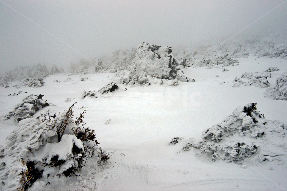 겨울산,한라산,설경,제주도,눈,설목,설화,한라산설경,겨울,계절,winter,season