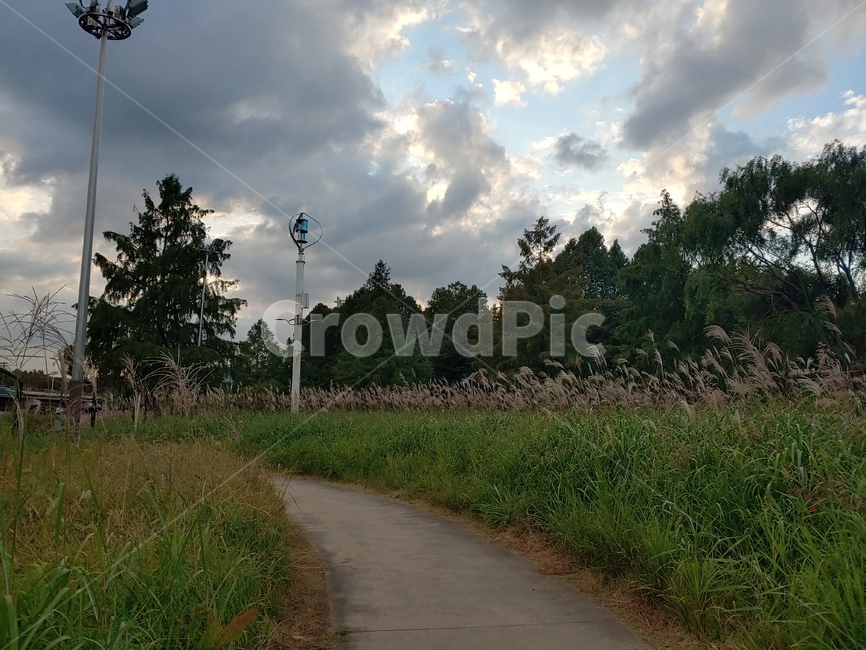 산책,길,공원,풍경,저녁,구름,자연,풍경,nature,landscape