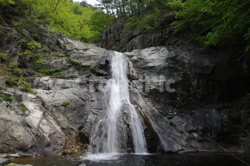 폭포,강물,바위,나무,숲,폭포수,자연,풍경,nature,landscape,한국자연풍경,한국자연경관,korea nature landscape,river,강,water,물,outdoors,옥외,waterfall