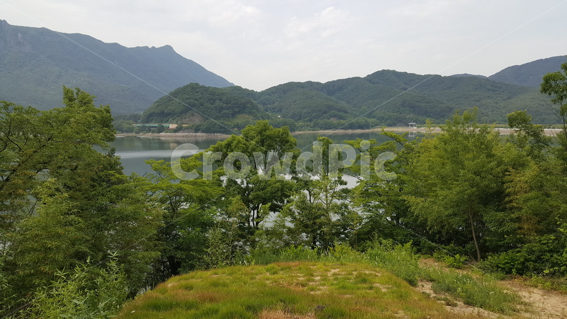 저수지,자연,나무,호수,풀,자연,풍경,nature,landscape,outdoors,옥외,hill,언덕
