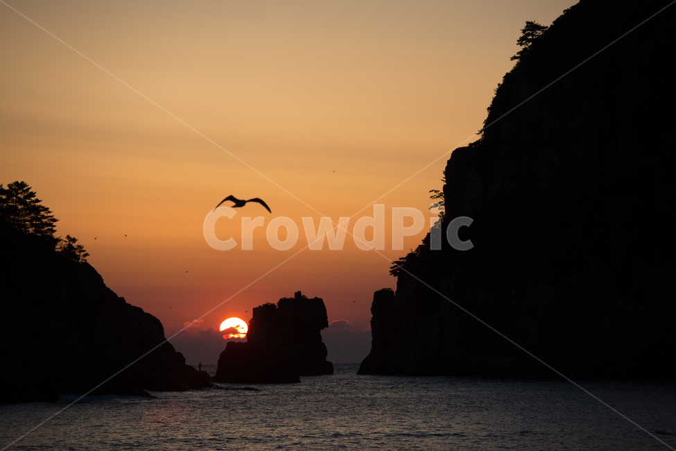 일출,대한민국,한국,풍경,태양,해,바다,해변,해피,행복,red,blue,sunrise,cloud,korea,southkorea,해금강,nature,자연,outdoors,옥외,새,animal,동물,dawn,새벽,redsky,붉은하늘,sunset,일몰,sky,하늘,dusk,황혼,2020,새해,newyear,오렌지,orange,붉은노을,자연,풍경,nature,landscape,한국자연풍경,한국자연경관,korea nature landscape,새해,new year