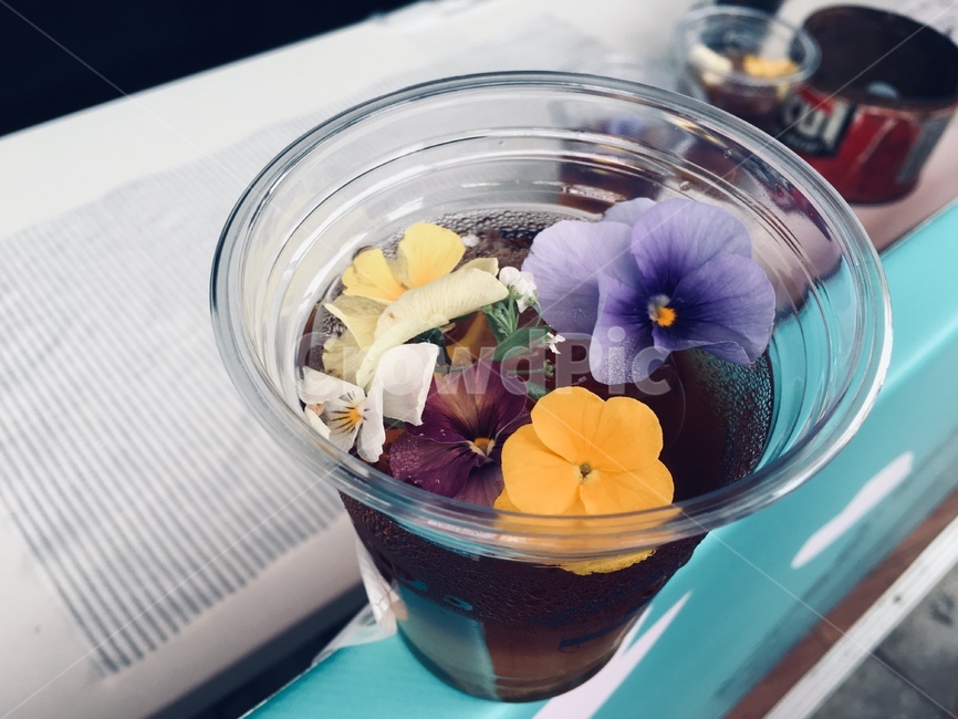 꽃,음료수,일본,티,차,음료수,drink,beverage