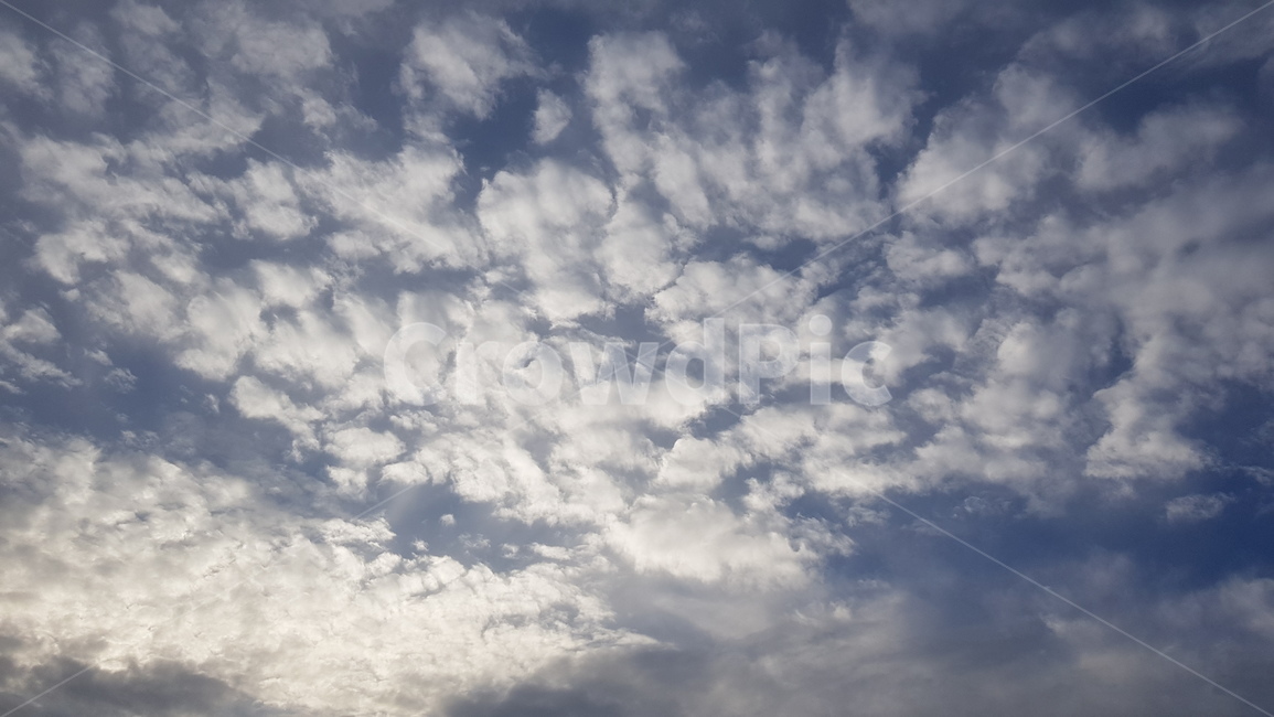 하늘,파란하늘,구름,뭉게구름,하얀구름,파란색,cloud,sky,bluesky