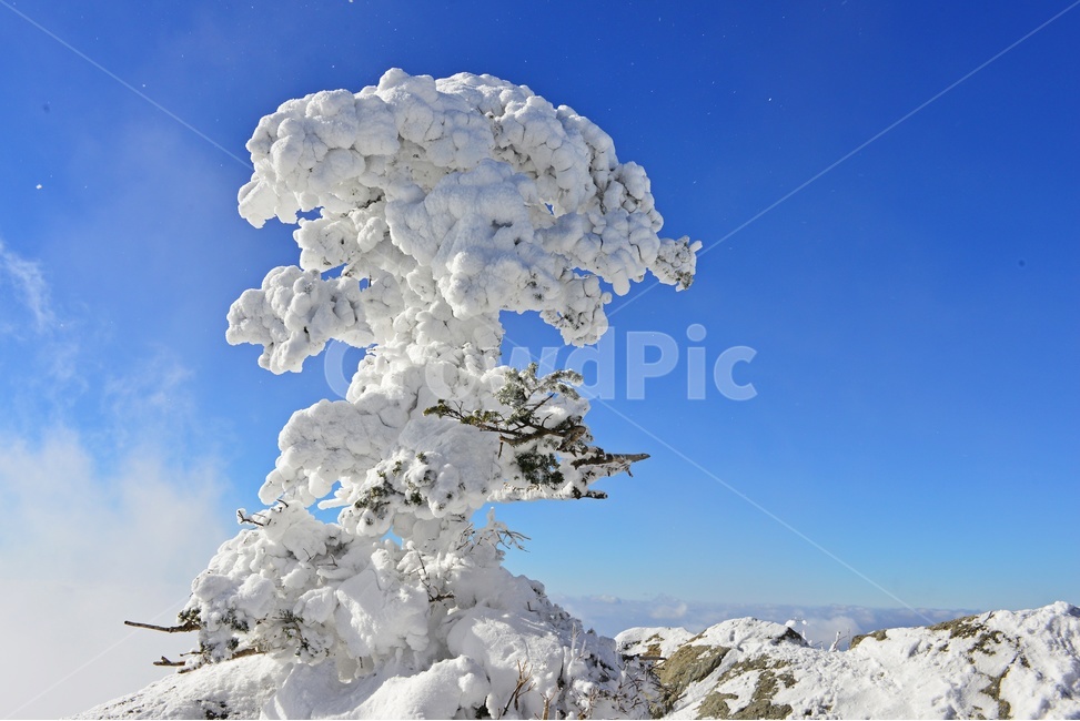 무주,덕유산,덕유산설경,겨울,계절,상고대,향적봉,중봉,nature,자연,mountain,산,outdoors,옥외,ice,빙,mountainrange,산맥,snow,눈,운해,설경,폭설