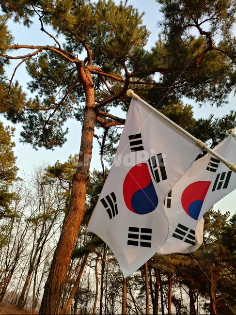 태극기,삼일절,국기,광복절,깃발,대한민국