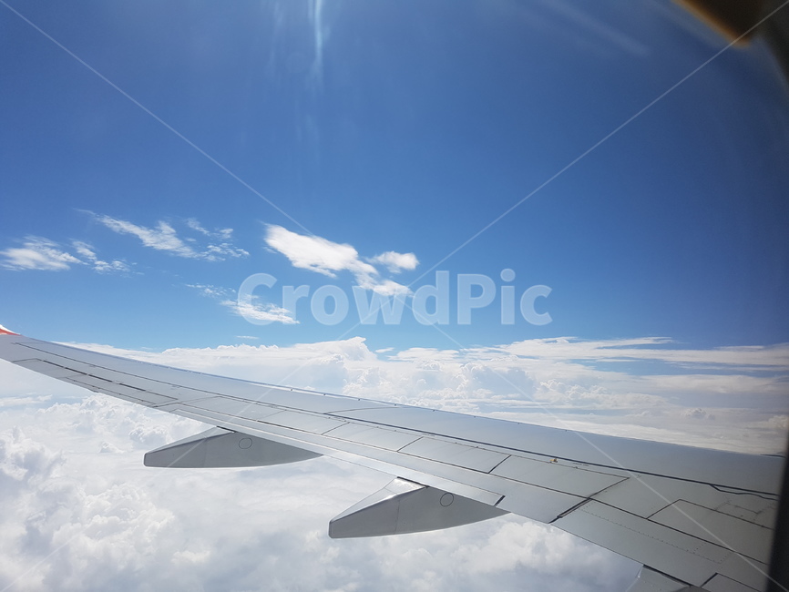 자연,하늘,비행기,flight,제주여행,푸른하늘,교통,교통수단,traffic,transportation