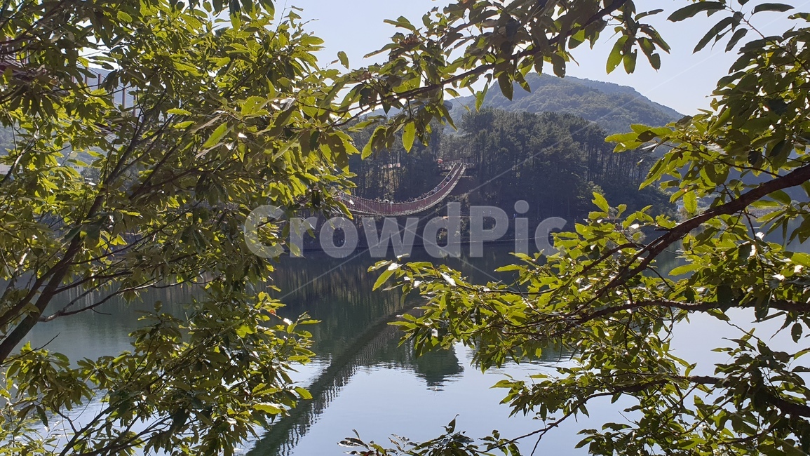 파주,마장호수,출렁다리,흔들다리,호수,둘레길,nature,outdoors,water,lake