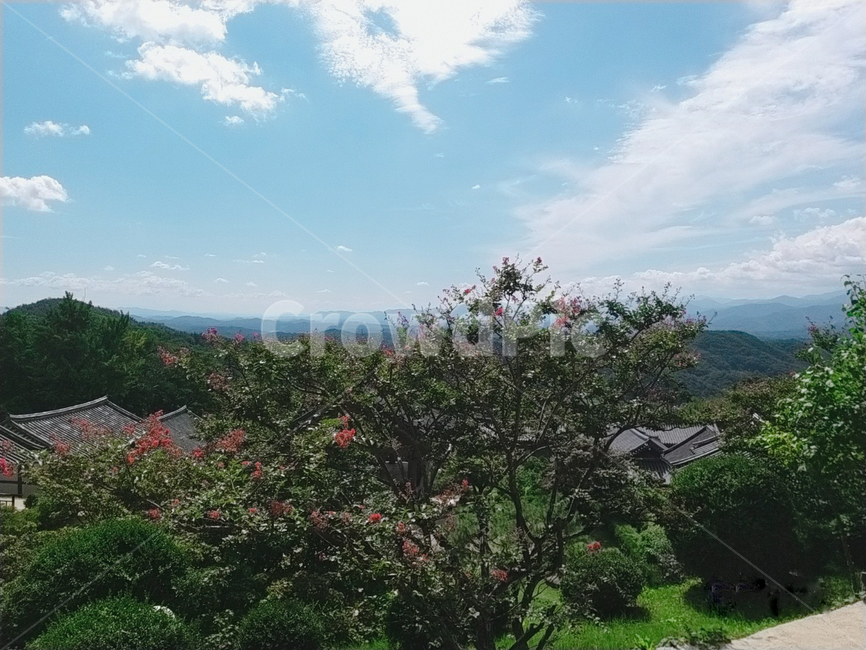 하늘,구름,꽃,나무,outdoors,plant,식물,옥외,vegetation,초목,한국전통,전통,기와,산,tree,흰색,파랑,초록,붉은꽃,빨강,잔디,부석사
