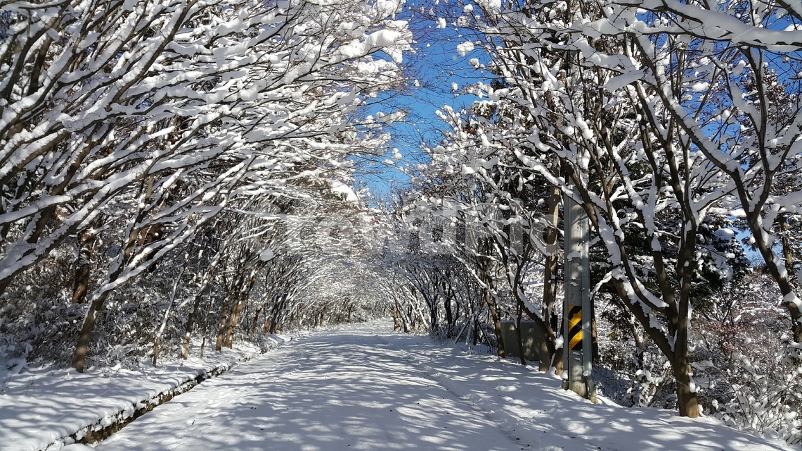 겨울,설경,자연,눈,거리,하늘,눈꽃,snow,street,white,맑음,winter,겨울,계절,winter,season