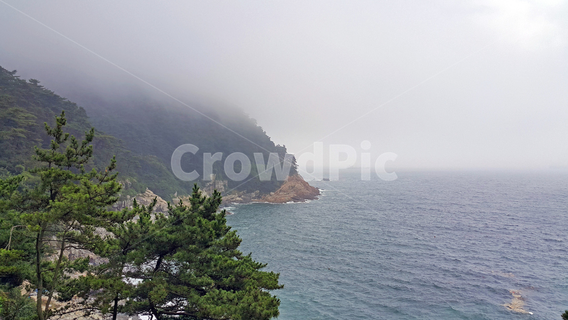 바다,절벽,풍경,배경,스산함,안개,자연,풍경,nature,landscape,promontory,곶,land,땅,outdoors,옥외,tree,나무,plant,식물