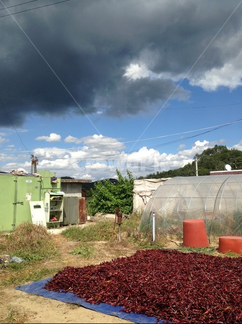 nature,자연,outdoors,옥외,시골,country,시골풍경,chili,chilidry,darkclouds,먹구름