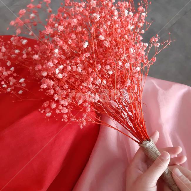 한복,빨간색,red,꽃,flower,pink,분홍,핑크,안개꽃