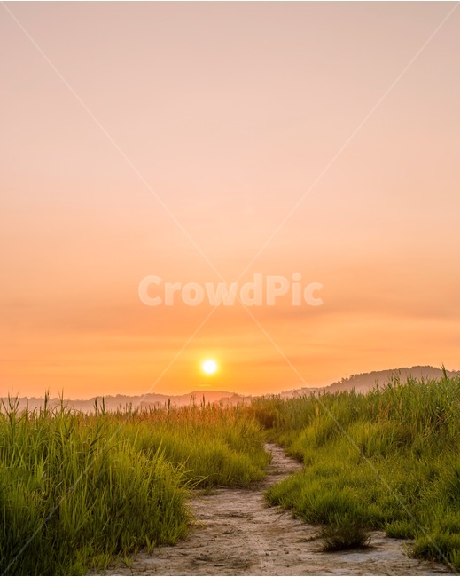 일출,풍경,자연,소래습지생태공원,소래포구,소래습지공원,길,태양,하늘,자연경관,korea,nature,sunrise,landscape,emotions,scenery,감성,growth,sky,cloud,자연,풍경,nature,landscape,한국자연풍경,한국자연경관,korea nature landscape,색깔,색상,색채,색감,color sense,color sensitivity,feeling of color,outdoors,옥외,plant,식물,grass,잔디