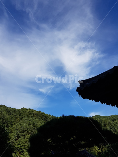 한옥,기와,한옥배경,하늘,전통,outdoors,shelter,building,countryside