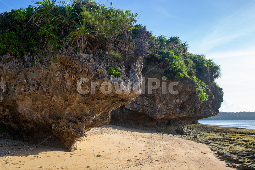 nature,자연,outdoors,해안선,water,물,ocean,sea,바다,오키나와,일본