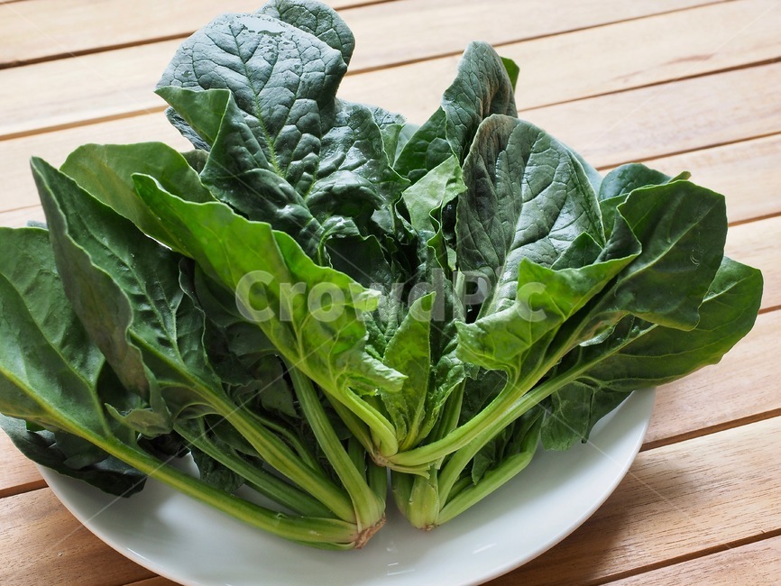 시금치,유기농시금치,채소,유기농,야채,유기농채소,유기농야채,녹색,신선한,신선한채소,음식재료,신선한야채,음식,식재료,요리,food,cook,meal,dishes,food reserves,채소,야채,vegetables