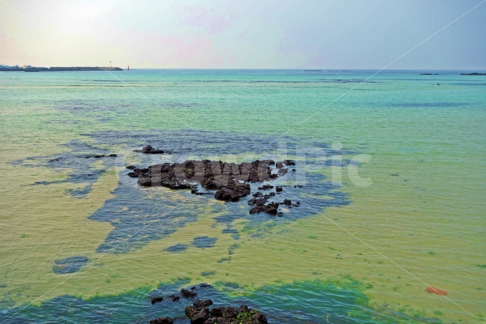 제주도,함덕서우봉해변,에메랄드,바다,현무암,수평선,방파제,등대,흰,구름,하늘,돌,푸른,맑은,깨끗한,물,자연,풍경,nature,landscape,제주도,jeju,jeju island,plant,식물,algae,조류,promontory,곶