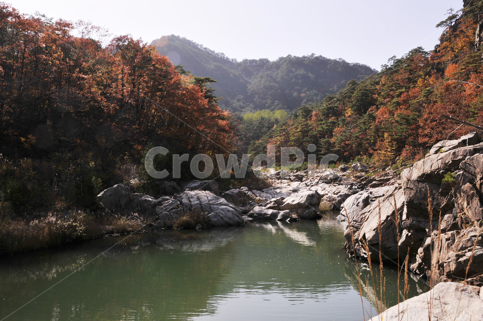 불영사,불영사계곡,가을,단풍,자연,nature,mountain,산,가을불영사,가을불영사계곡