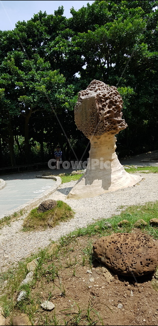 예류지질공원,인간,human,stone,돌,타이완,taiwan,park,공원