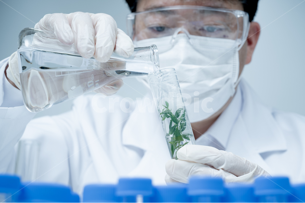 과학,의료,과학자,식물학,식물,표본,샘플,견본,연구원,실험실,연구실,실습실,장비,설비,용품,시험관,튜브,생명공학,의학,실험,생물학,배경,컨셉,개념,사이언스,화학,테스트,시험,검사,미생물학,분석,푸른색,파란색,블루,기술,생화학,테크놀로지,개발,교육,약학,동양인,남자,아시아인,일본인,중국인,한국인,남성,1인,산업,industry,industrial