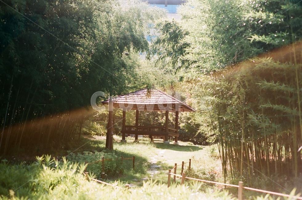 햇빛,쉼터,자연,나무,풀숲,울타리,햇살,여름,계절,summer,season,자연,풍경,nature,landscape,휴식,힐링,rest,relaxation,healing,porch,현관,patio,안마당