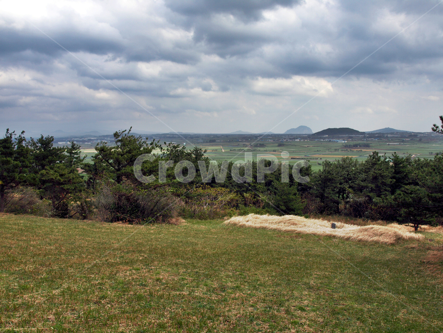 올레12코스,올레길,제주,서귀포시,수월봉,자연,풍경,nature,landscape,field,들,outdoors,옥외,grassland,목초지